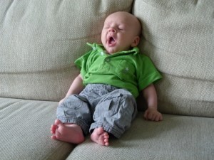 Van al dat schattig zijn wordt een mens moe.